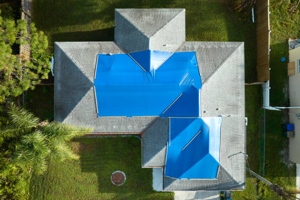 Best Roof Coating and Sealing  in Douglas, AZ